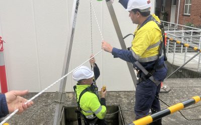 Training Employees on New Equipment